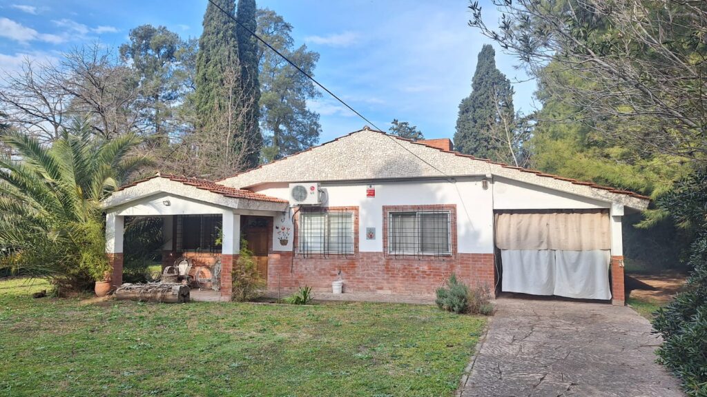 WhatsApp Image 2025-10-13 at 11.19.17