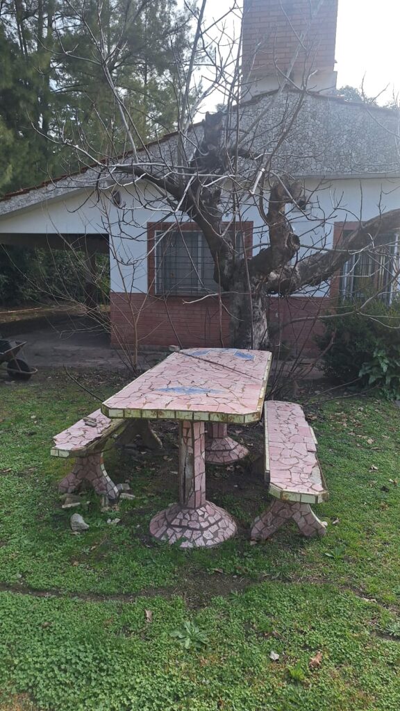 WhatsApp Image 2025-10-13 at 11.19.19 (1)