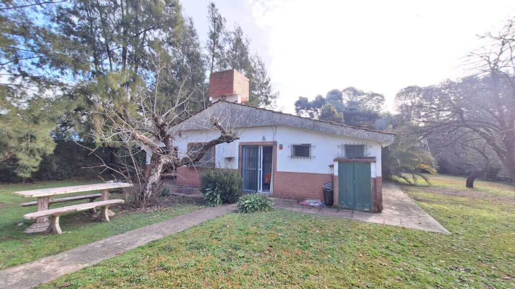 WhatsApp Image 2025-10-13 at 11.19.20