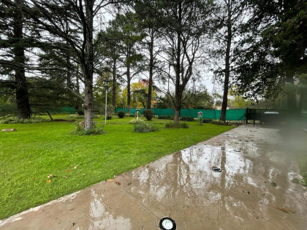 WhatsApp Image 2025-10-13 at 11.21.10 (3)