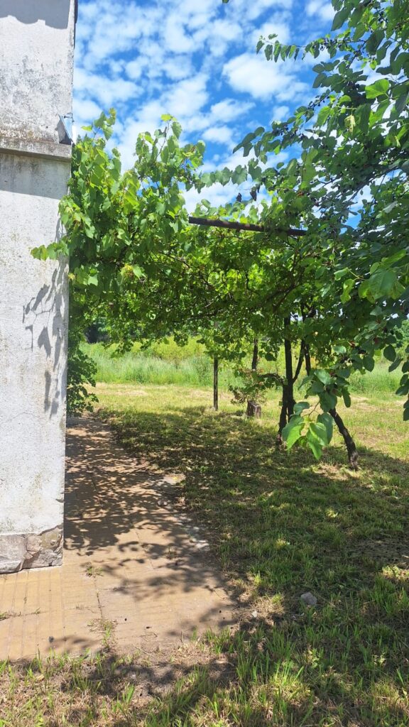 Terreno En Venta - Pontevedra 6