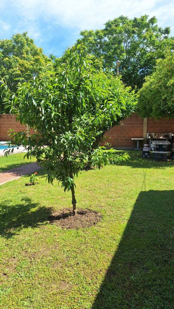 WhatsApp Image 2025-11-18 at 15.00.19 (1)