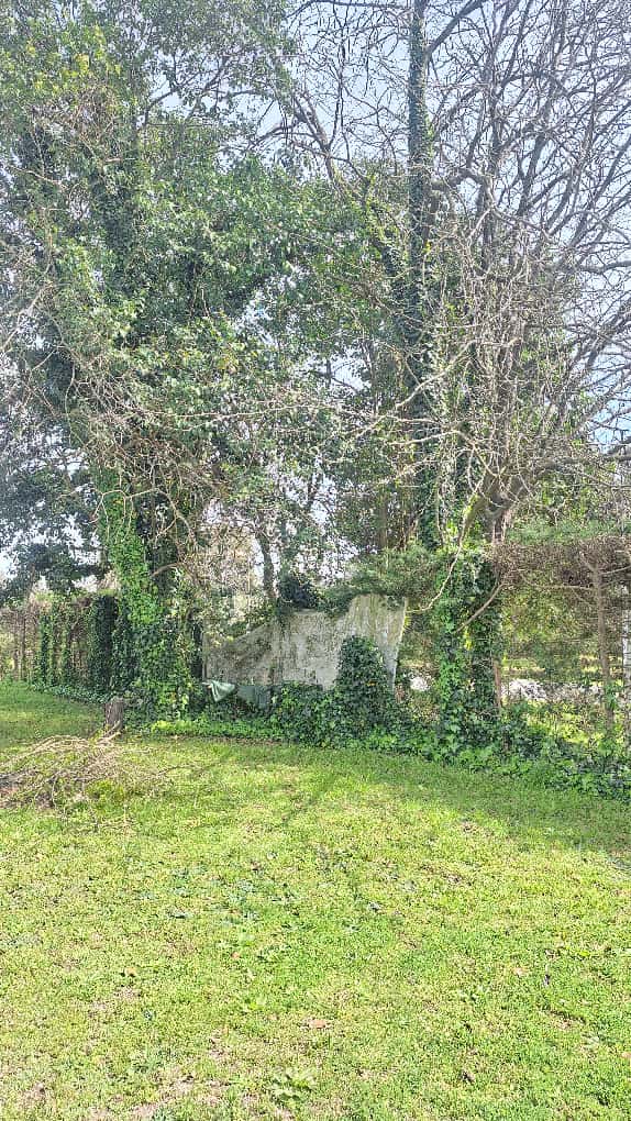 WhatsApp Image 2025-11-18 at 15.01.49 (2)