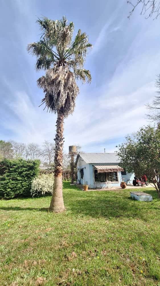 WhatsApp Image 2025-11-18 at 15.01.56 (1)