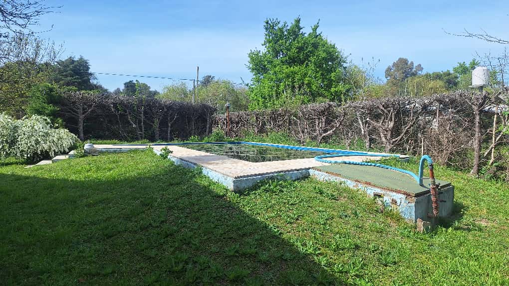 WhatsApp Image 2025-11-18 at 15.01.59