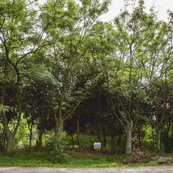 WhatsApp Image 2025-12-13 at 09.27.40