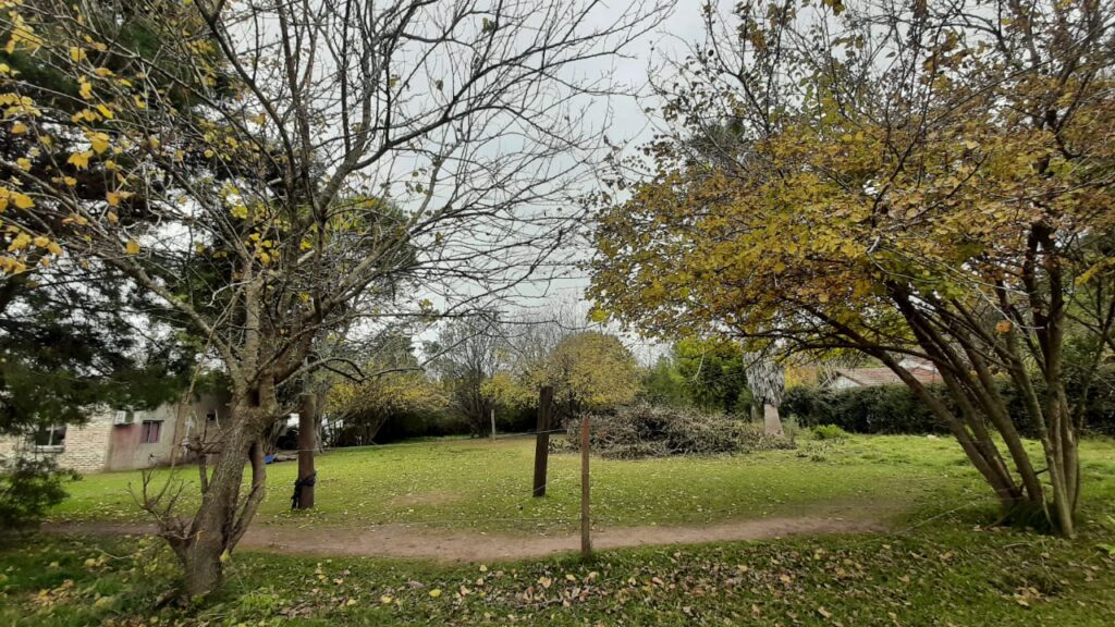 Terrenos En Venta 546 Metros -20 De Junio - 5