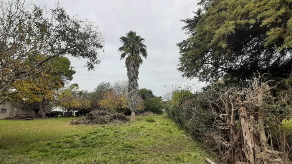 Terrenos En Venta 546 Metros -20 De Junio - 9