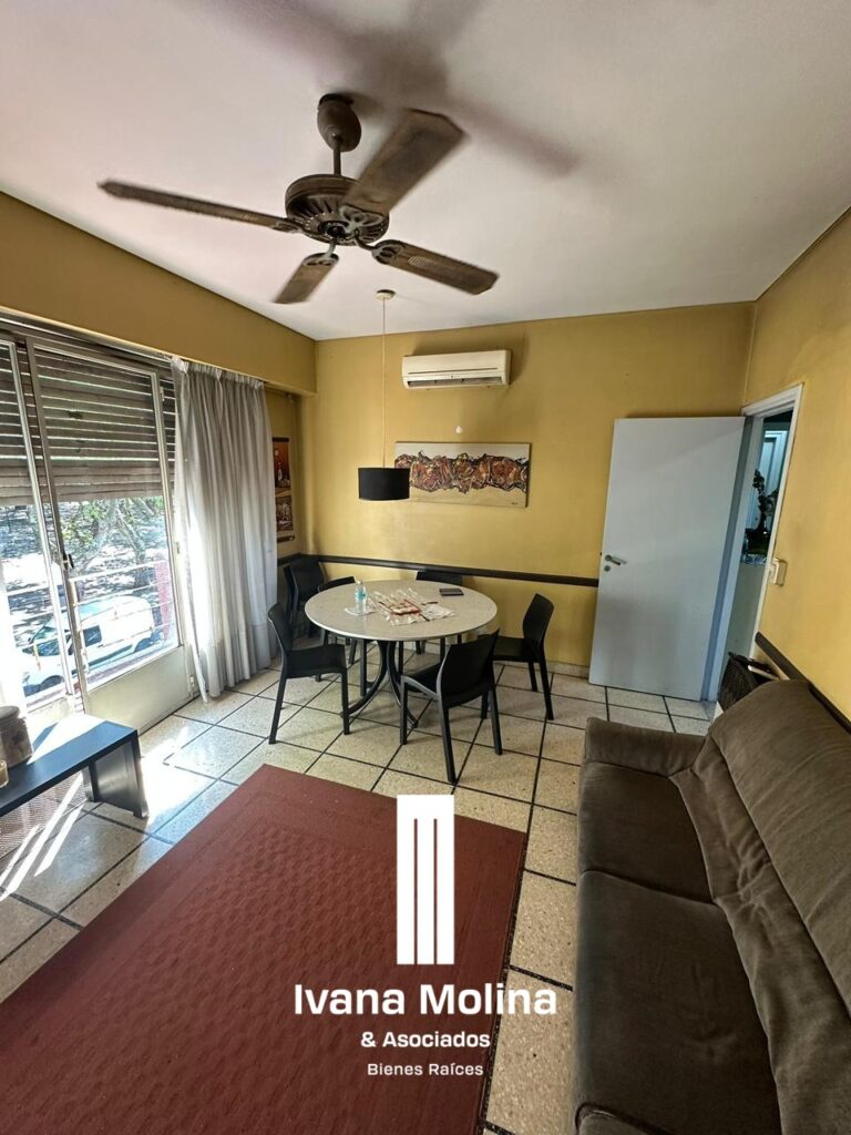 WhatsApp Image 2026-02-04 at 14.08.12 (10)